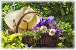 Фото - шляпа и цветы в корзине